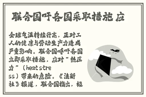 我的好媳妇中字头